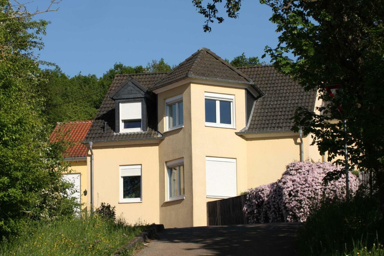 Villa Feyen In Trewir Zewnętrze zdjęcie